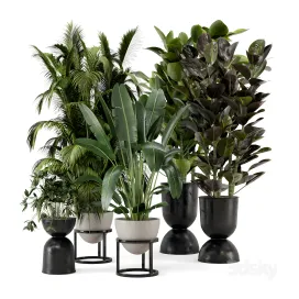 Indoor plants in rusty concrete pot on metal shelf